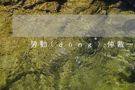勞動(dòng)仲裁一年后可以訴訟嗎？
